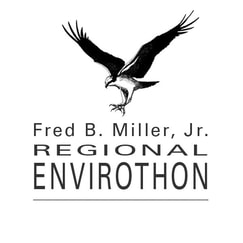logo with soaring bird